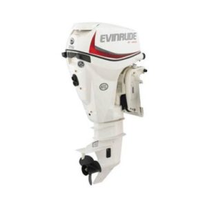 2019 EVINRUDE 25 HP E25DPSL OUTBOARD MOTOR